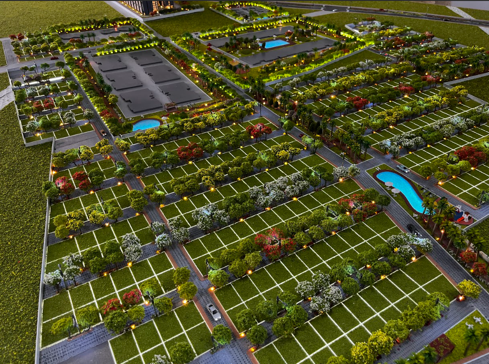 BCD Group - Panoramic View